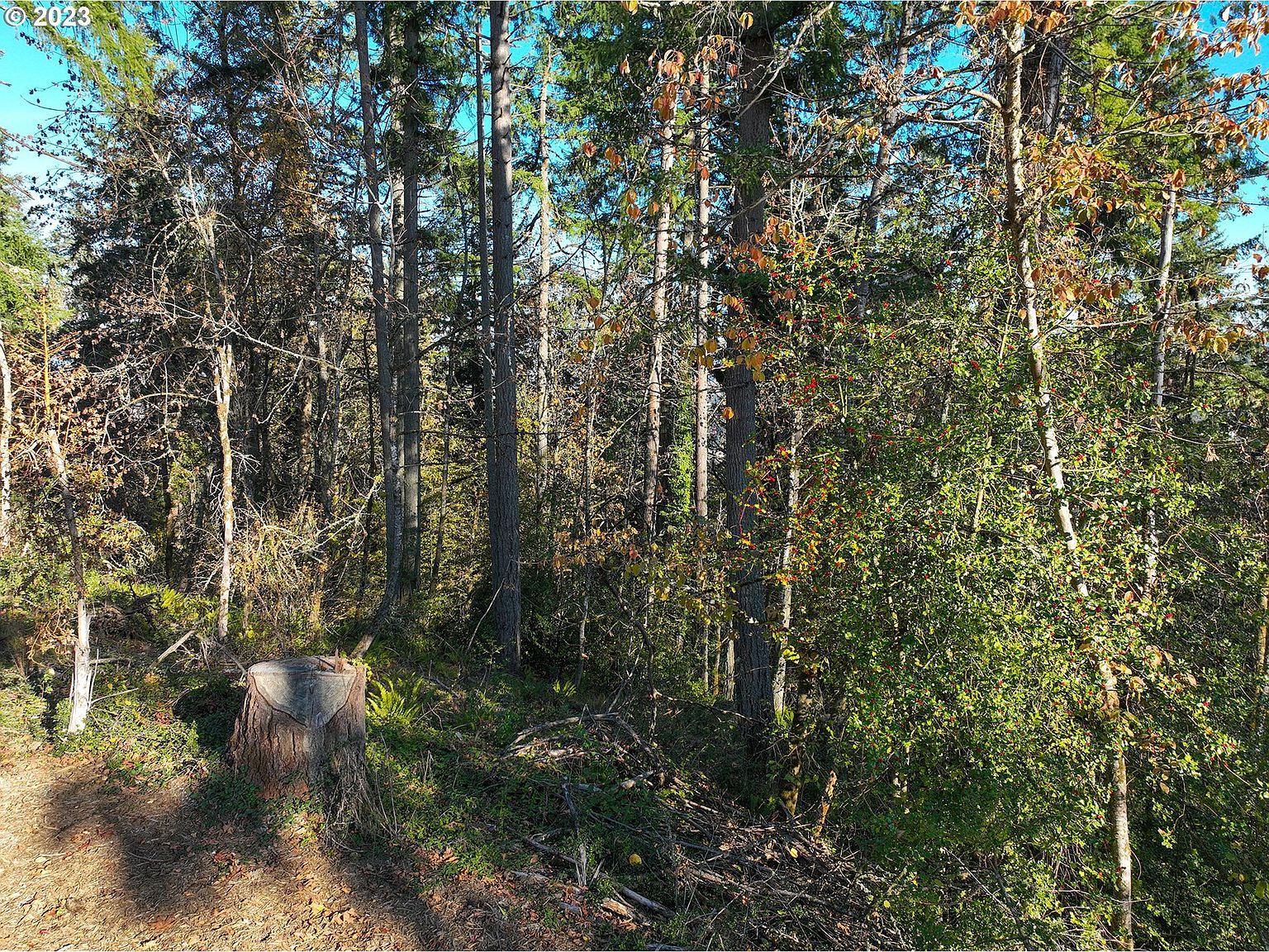 2645 Cupola Dr #13 Eugene, OR 97403 - Thumbnail 5