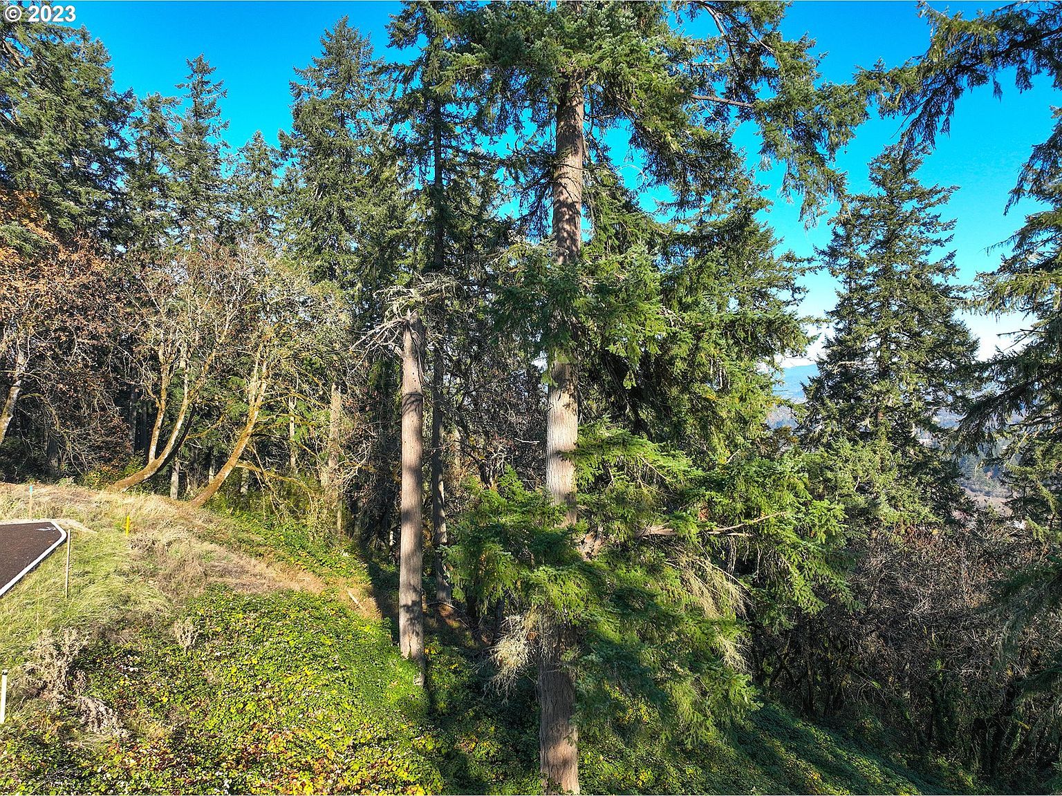 2627 Cupola Dr #9 Eugene, OR 97403 - Thumbnail 5