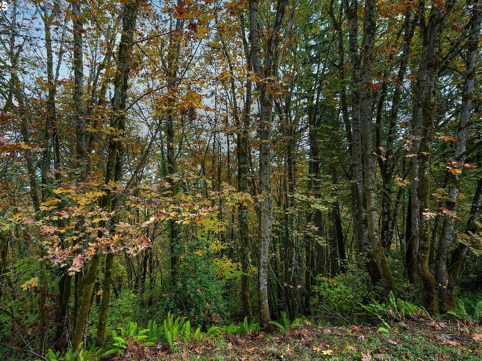 2825-2819 Capital Dr #18-19 Eugene, OR 97403 - Thumbnail 5