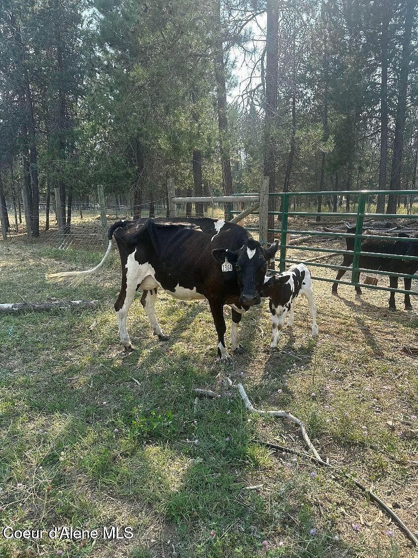 2585 Clagstone Rd Spirit Lake, ID 83869 - Thumbnail 5