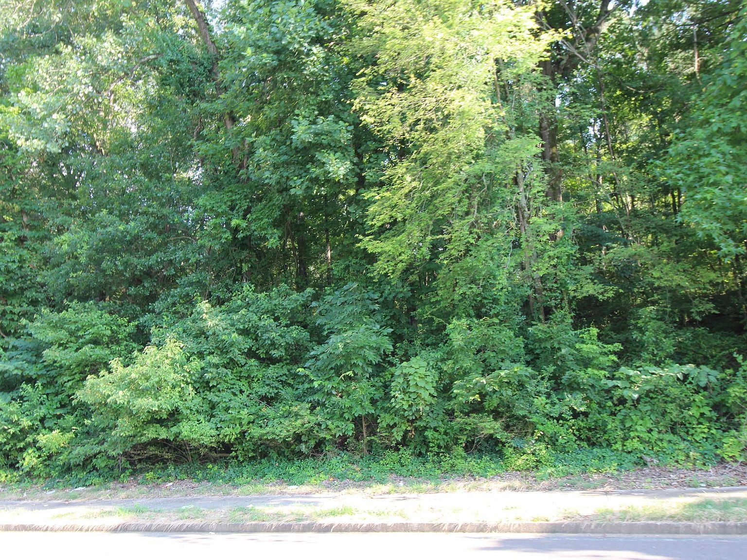 Ridgemont Rd, Memphis, TN, 38128  | Land/Lot