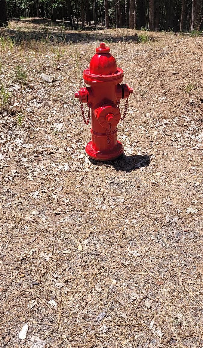 4790 Sierra Springs Dr Pollock Pines, CA 95726 - Thumbnail 5