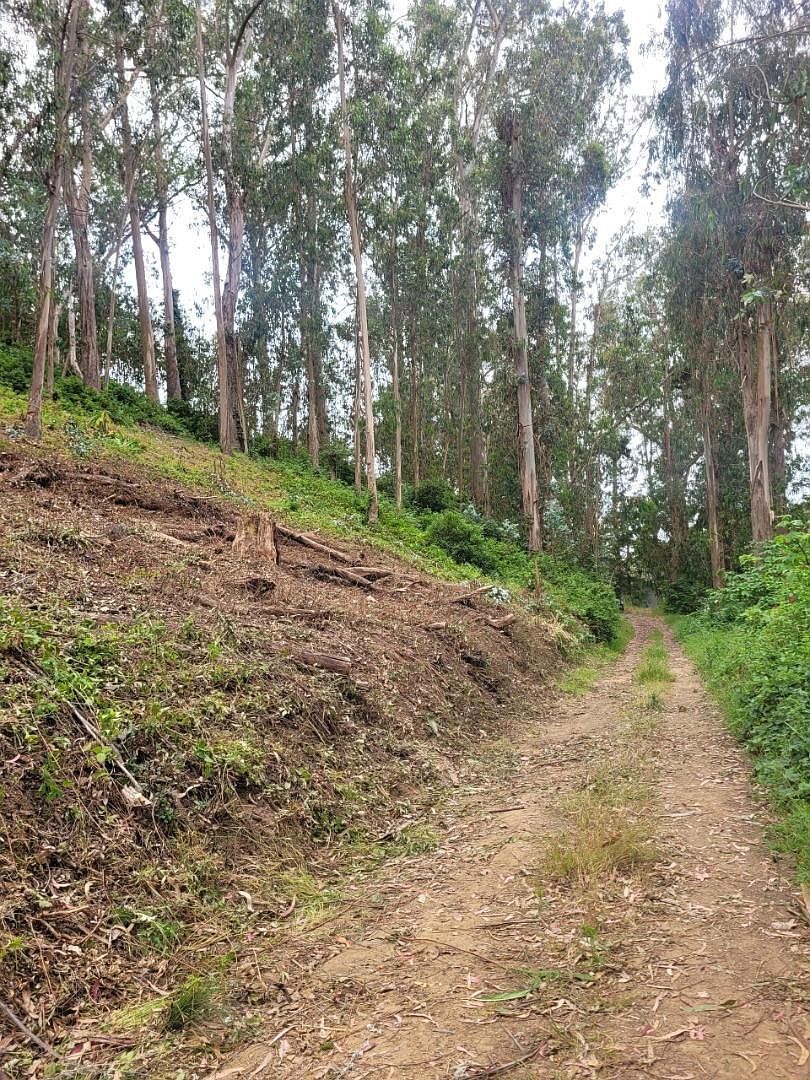 0 Avenue Portola El Granada, CA 94018 - Thumbnail 5