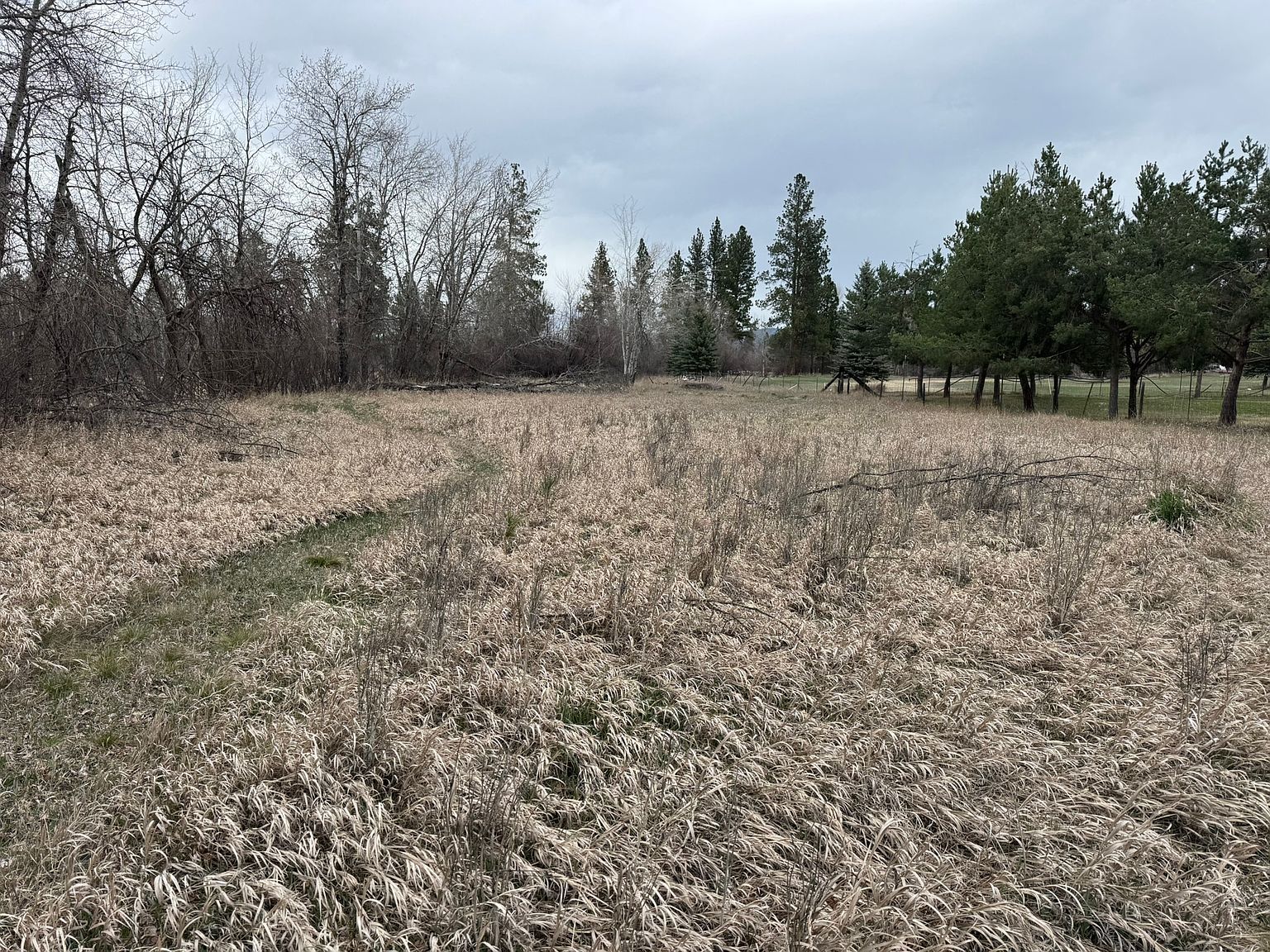 Nhn Two Moons Rd Florence, MT 59833 - Thumbnail 5