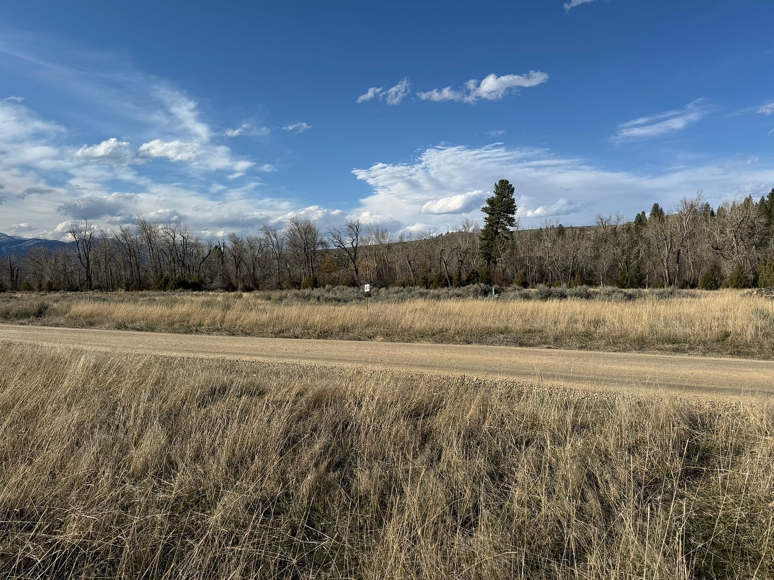1425 Drovers Trl Stevensville, MT 59870 - Thumbnail 5