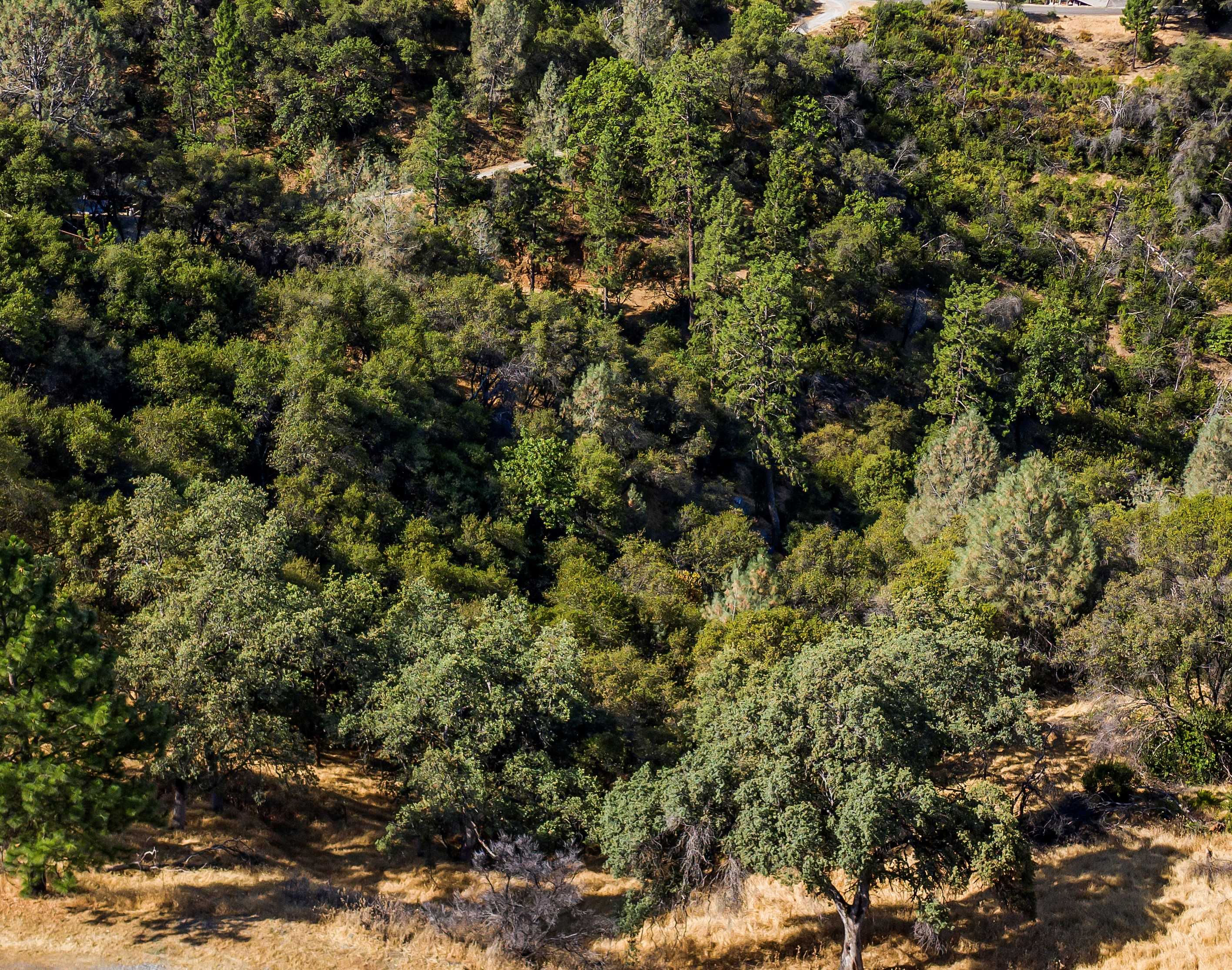 765 Montgomery Dr, Mokelumne Hill, CA, USA, 95245 - Thumbnail 5