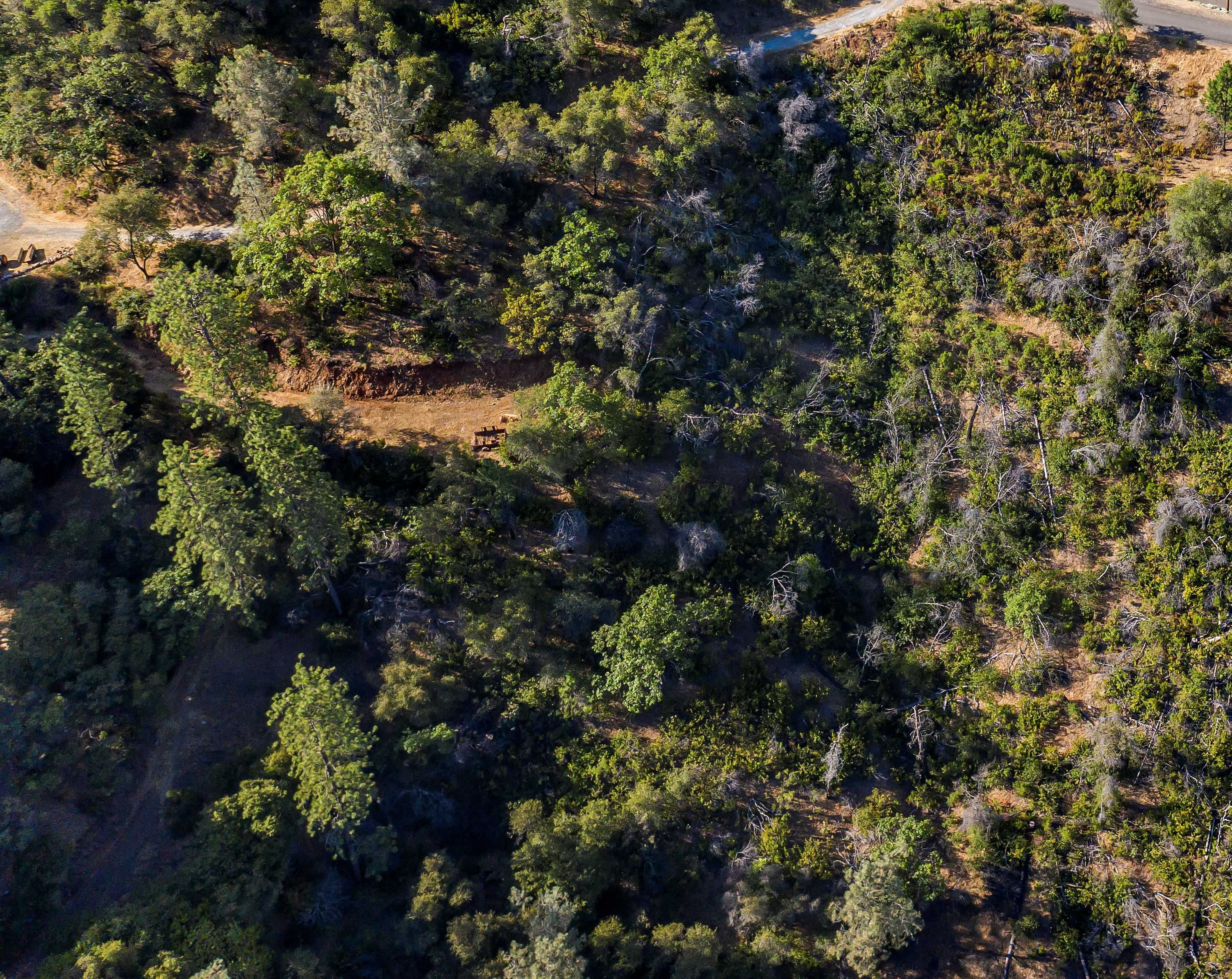 690 Ian Ct, Mokelumne Hill, CA, USA, 95245 - Thumbnail 5