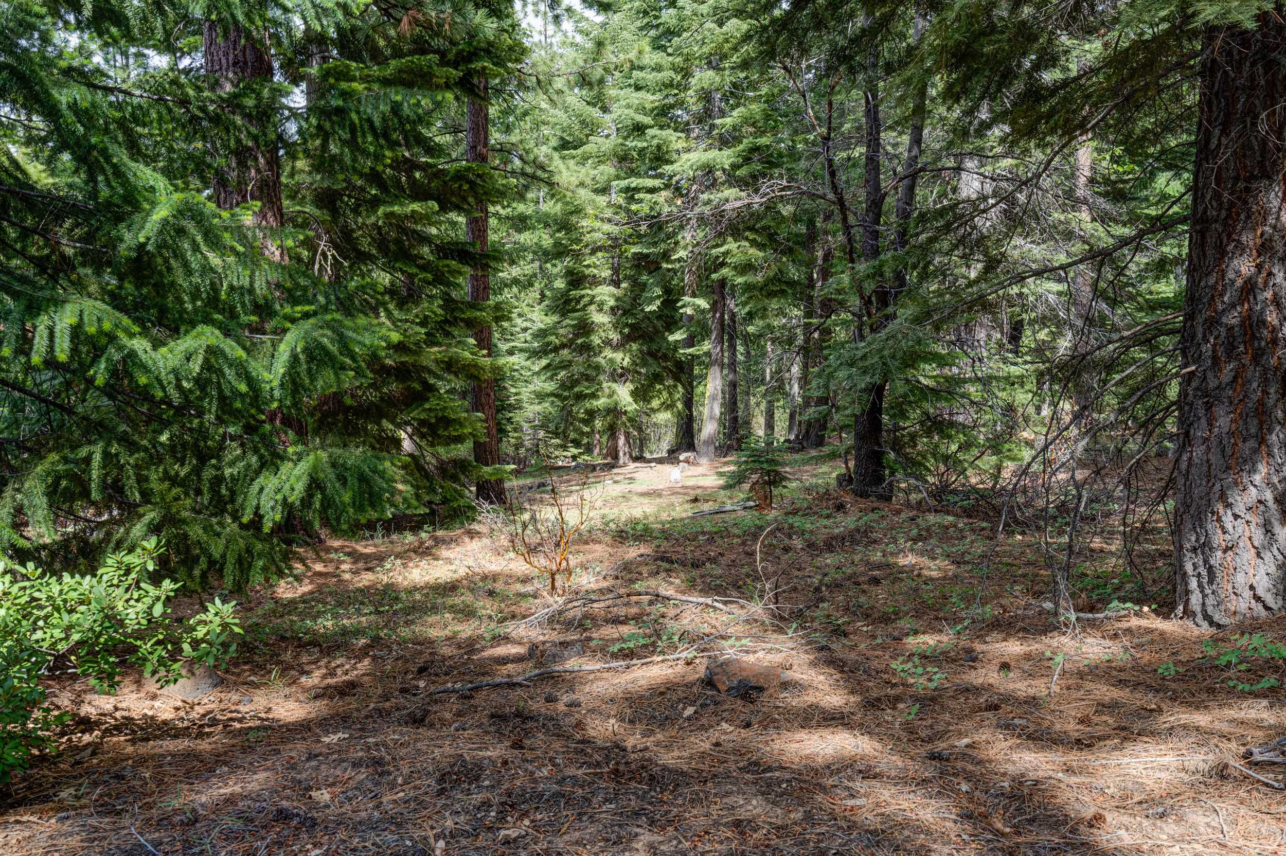 Janesville Grade, Janesville, CA, USA, 96114 - Thumbnail 5