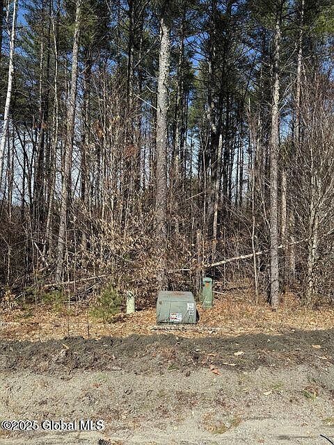 61 Snowshoe Rdg Chestertown, NY 12817 - Thumbnail 5