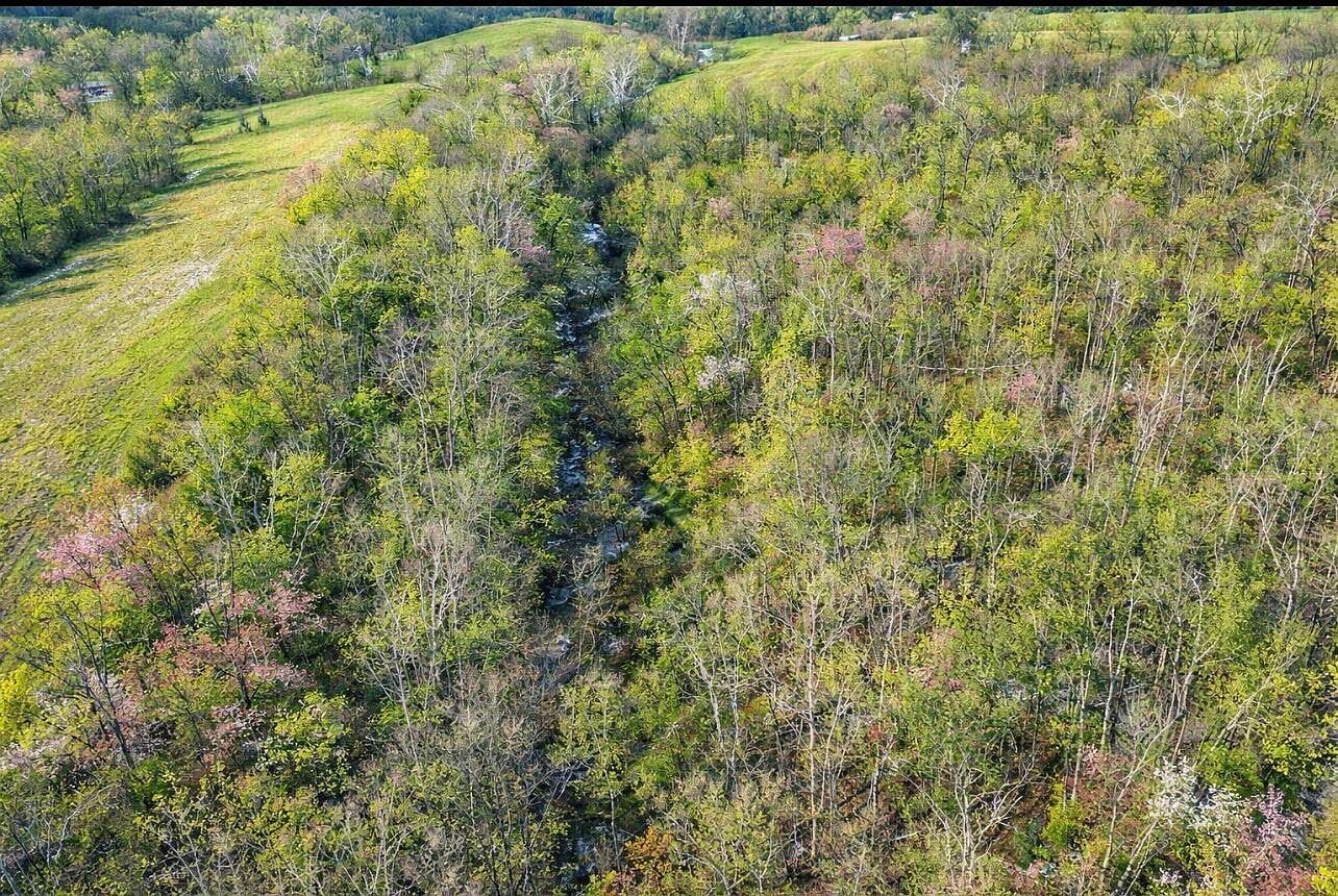 455 Davis Ln Winchester, KY 40391 - Thumbnail 5