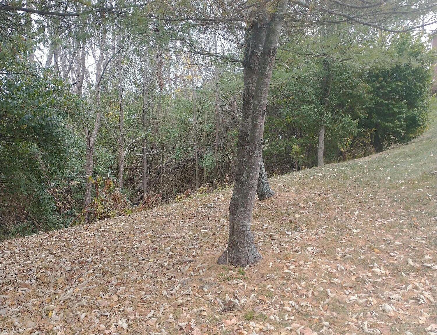 102 Augusta Dr Winchester, KY 40391 - Thumbnail 5