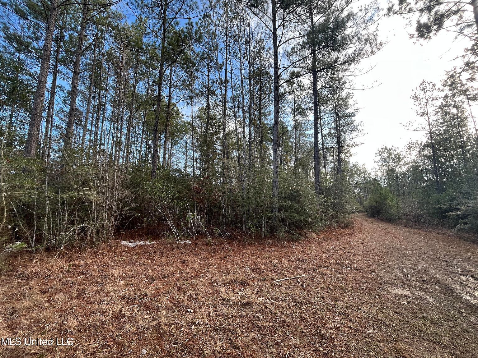 40 Acres Dr Perkinston, MS 39573 - Thumbnail 5