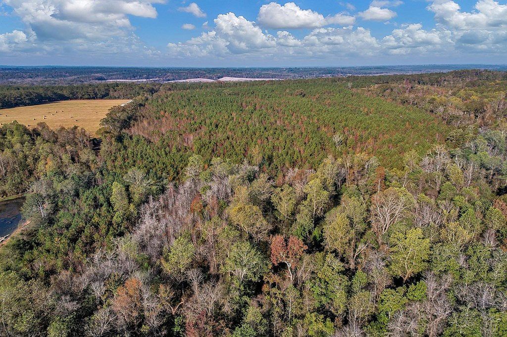 0 County Road 127 Banks, AL 36005 - Thumbnail 5