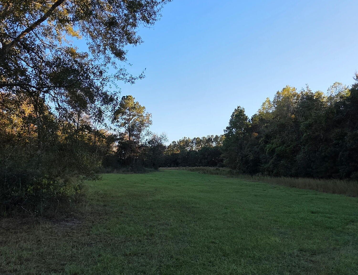 2785 Otter Pond Rd Westville, FL 32464 - Thumbnail 5