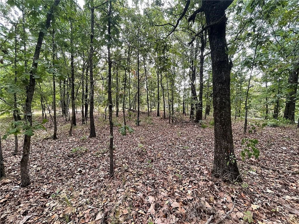 686 Woodland Hills Trl LOT 25 Broken Bow, OK 74728 - Thumbnail 5