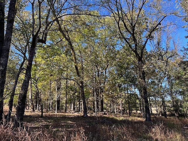 197 Deer Valley Cir LOT 7 Broken Bow, OK 74728 - Thumbnail 5