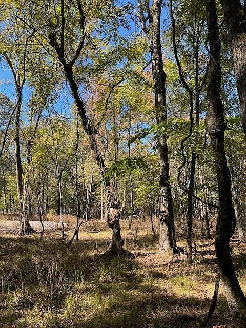 196 Deer Valley Cir LOT 6 Broken Bow, OK 74728 - Thumbnail 5