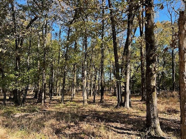 176 Deer Valley Cir #5 Broken Bow, OK 74728 - Thumbnail 5