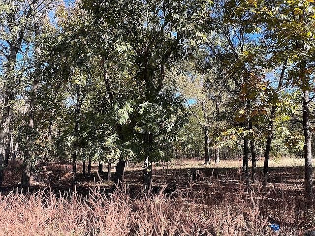 136 Deer Valley Cir LOT 4 Broken Bow, OK 74728 - Thumbnail 5