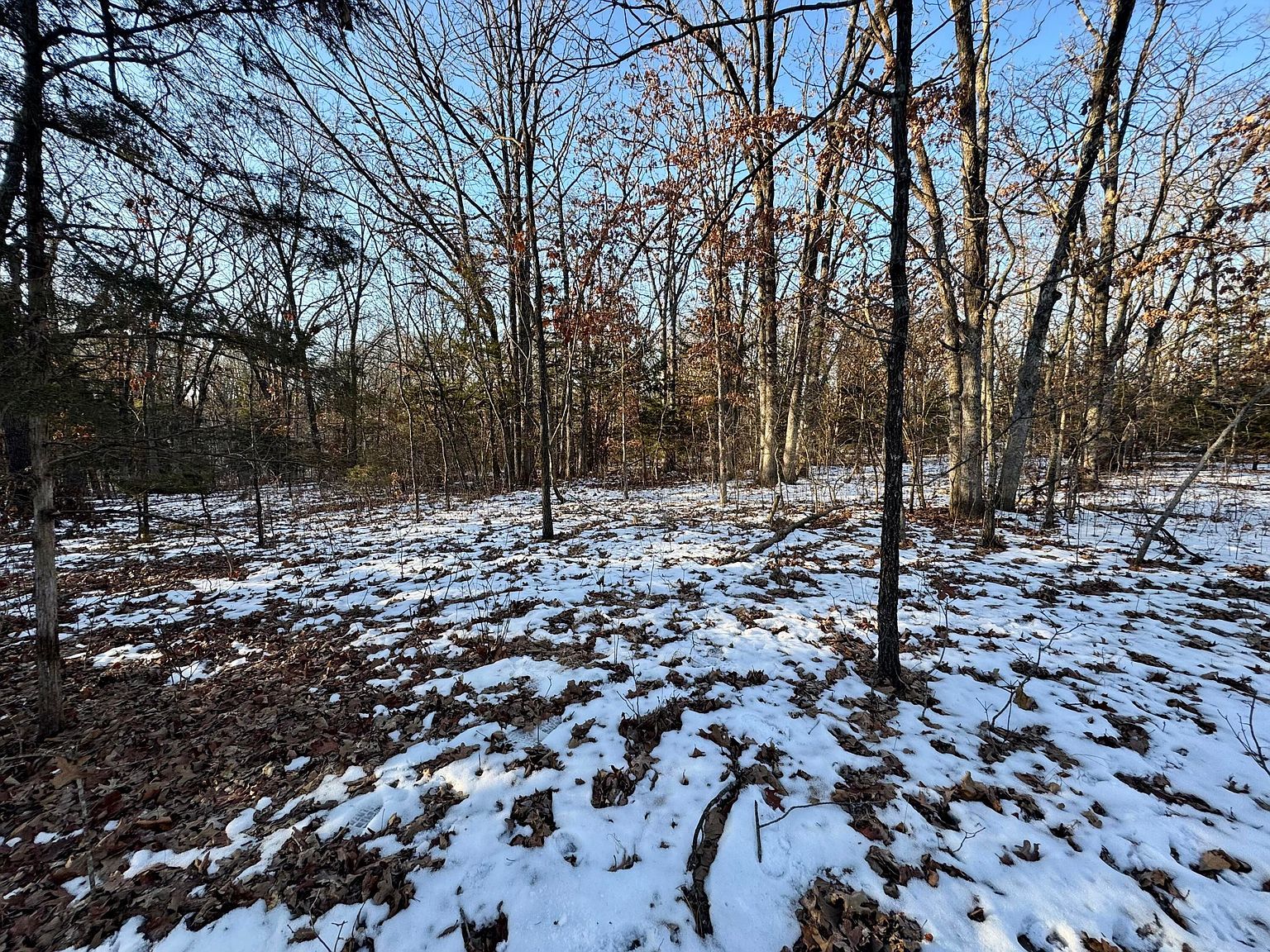 TRACT 3 E Mount Zion Church Rd Hallsville, MO 65255 - Thumbnail 5