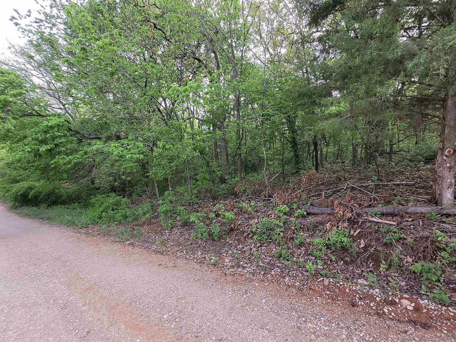 LOT 29 Wiedenmann Pl Edwards, MO 65326 - Thumbnail 5