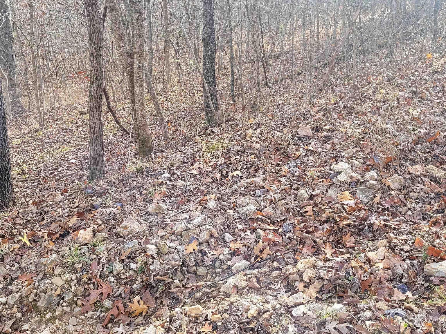 L-45 Stag Dr Edwards, MO 65326 - Thumbnail 5