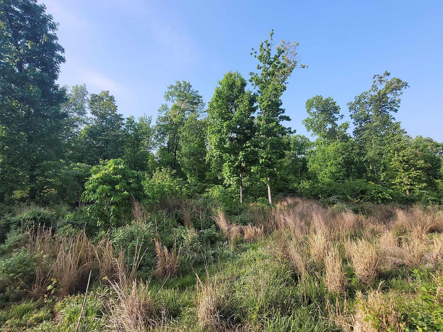 LOT 4 Wendys Ln Lincoln, MO 65338 - Thumbnail 5