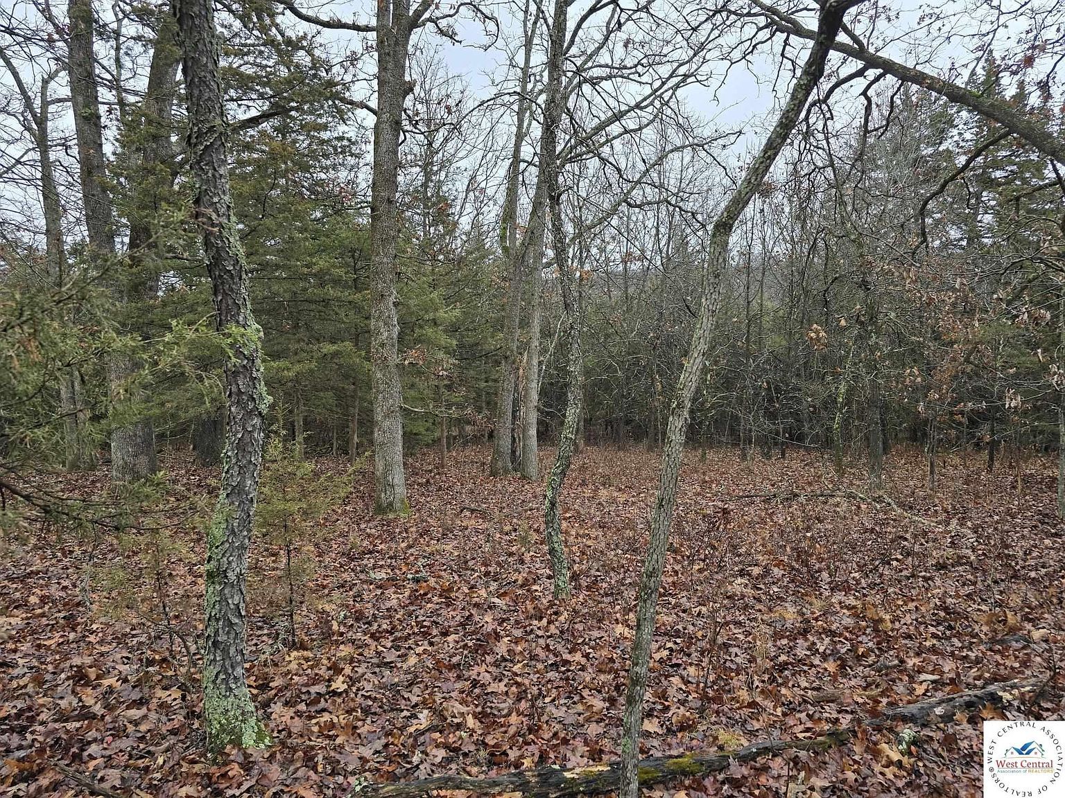 LOT 3450 Bob Dr Edwards, MO 65326 - Thumbnail 5