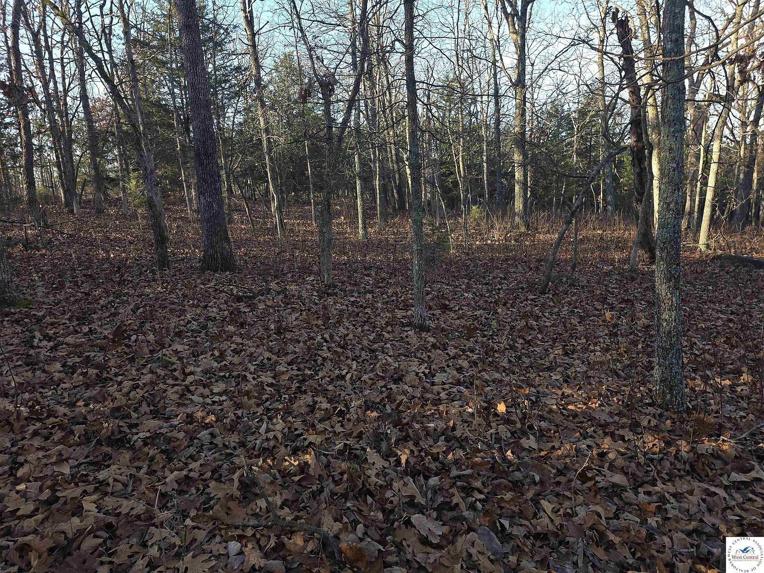 3964 & 3965 Gardiner Rd Edwards, MO 65326 - Thumbnail 5