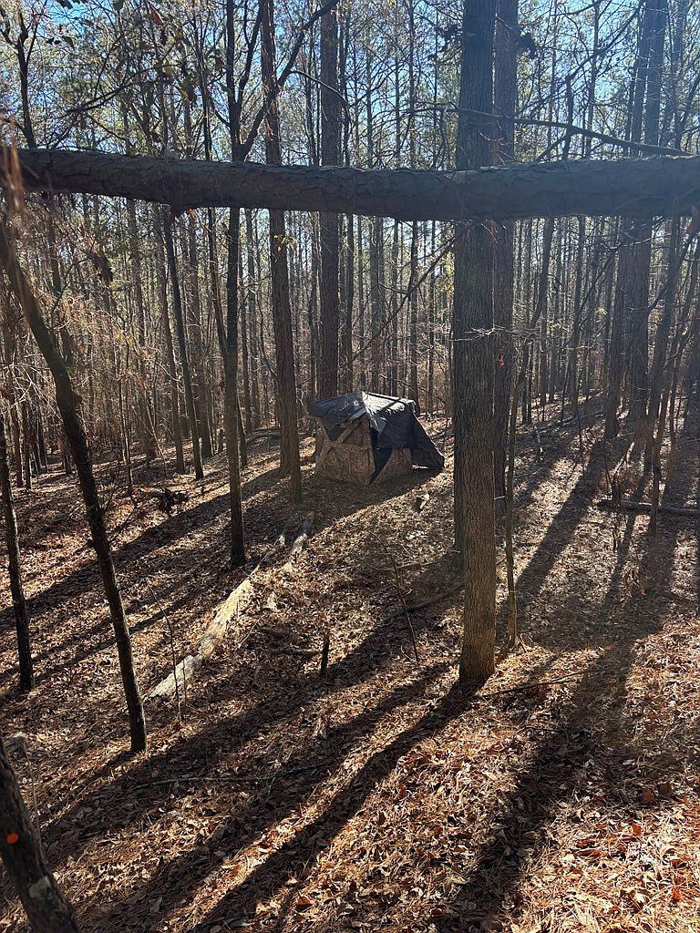 0 Geneva Hwy Talbotton, GA 31827 - Thumbnail 5