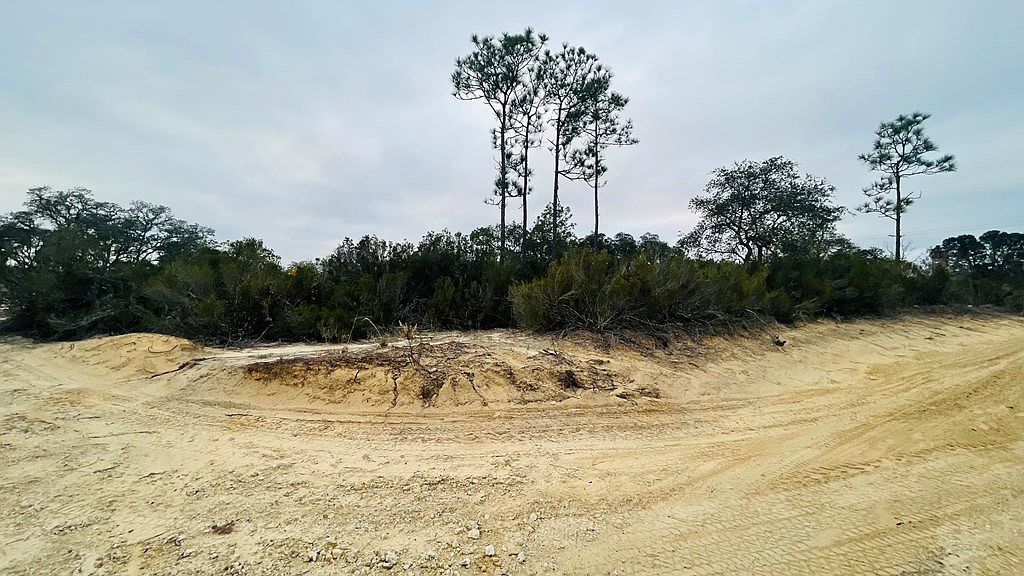 LOT 32 NE 100th Ave Bronson, FL 32621 - Thumbnail 5