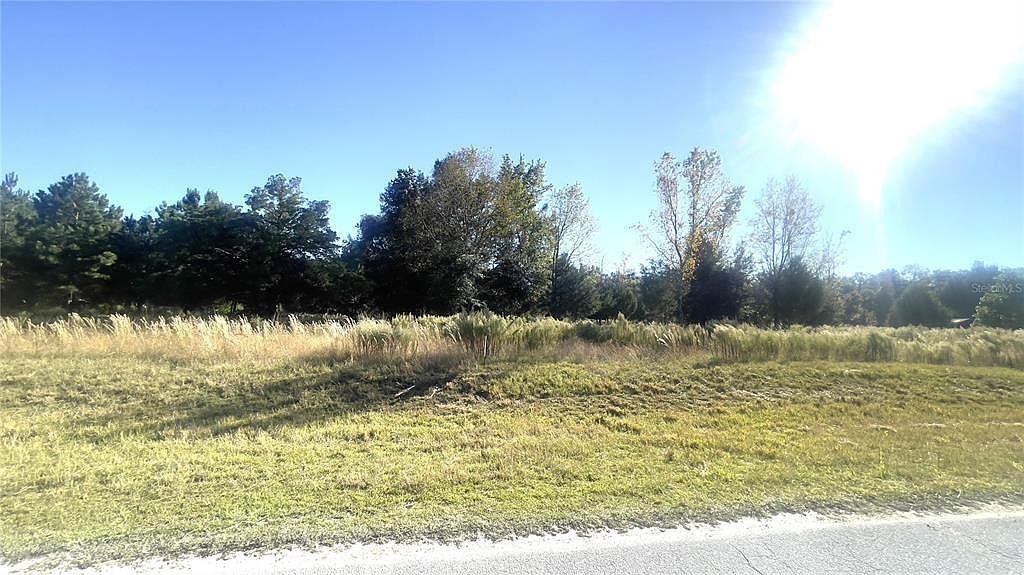 LOT 46 NW 73rd St LOT 46 Chiefland, FL 32626 - Thumbnail 5