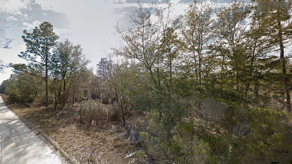 LOT 400 NE 95th St Bronson, FL 32621 - Thumbnail 5