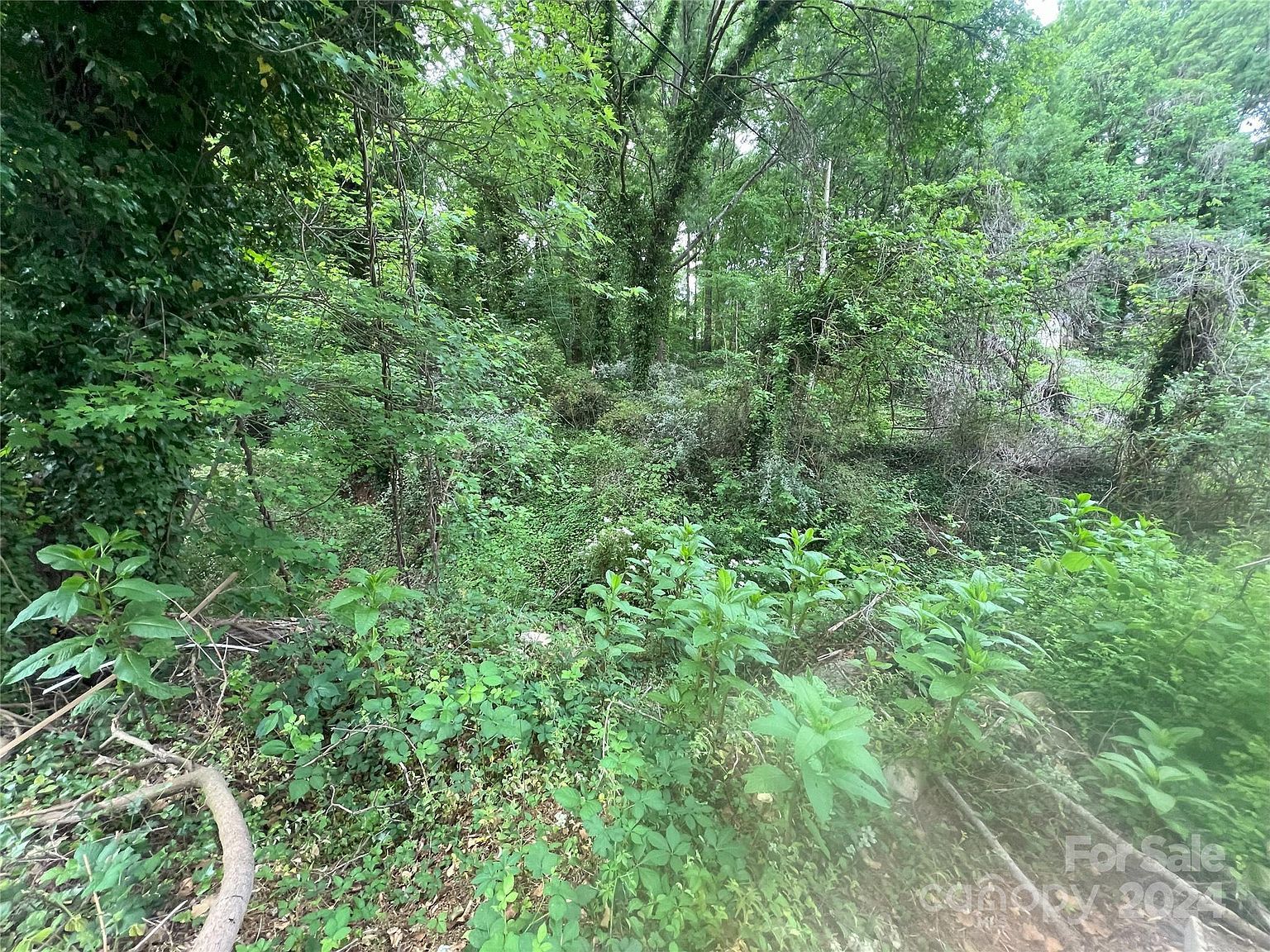 166 Elm St Mooresville, NC 28115 - Thumbnail 5