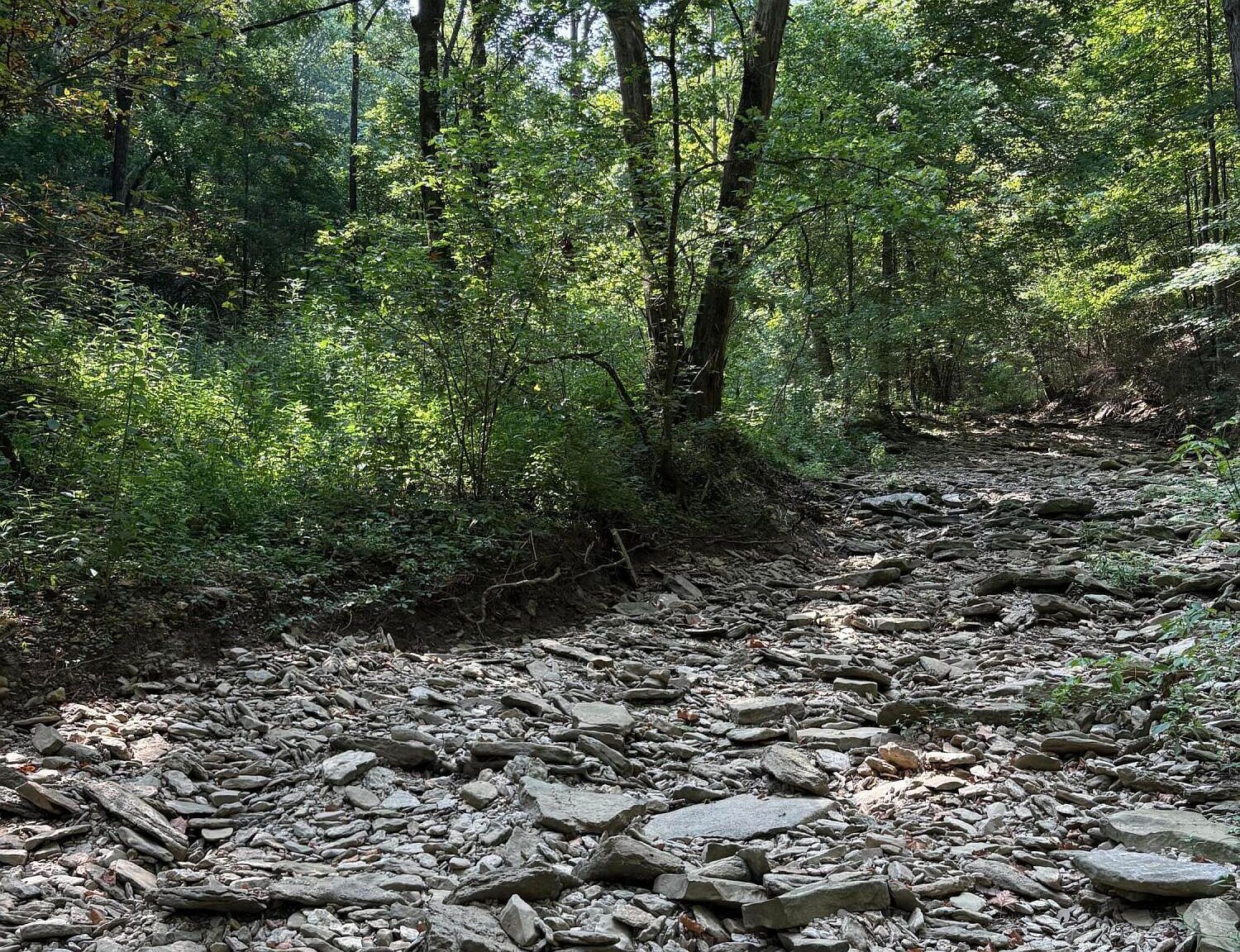 2184 Shadrick Ferry Rd Frankfort, KY 40601 - Thumbnail 5