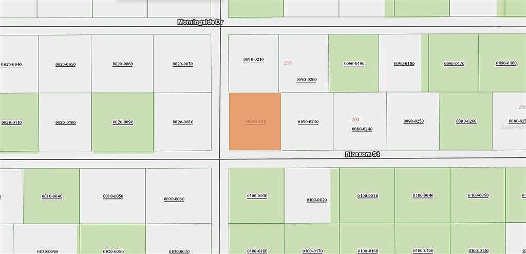 Xx Blossom Lot 22 Florahome, FL 32140 - Thumbnail 5