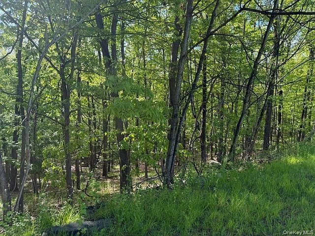 27 Council Crest Rd Sloatsburg, NY 10974 - Thumbnail 5