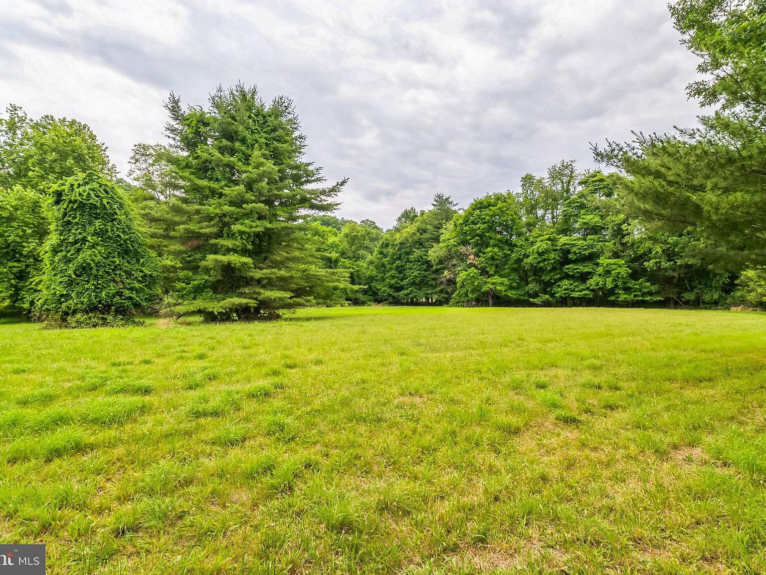 1155 Mount Eyre Rd Washington Crossing, PA 18977 - Thumbnail 5