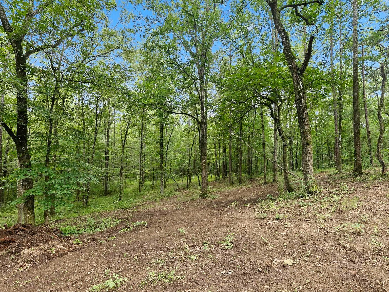 980 Highway 331 Columbiana, AL 35051 - Thumbnail 5