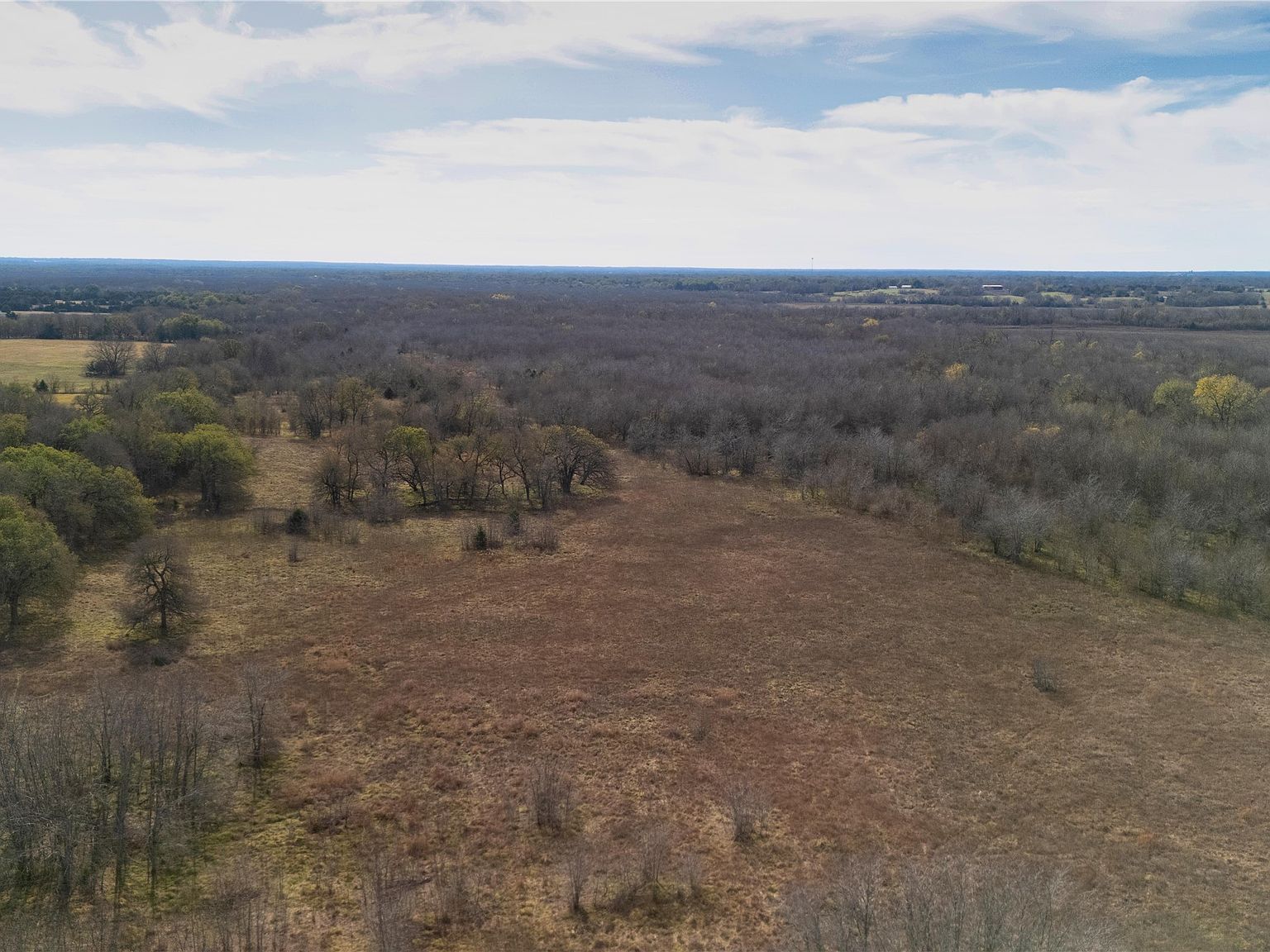 TRACT 7 County Road 2158 Cooper, TX 75432 - Thumbnail 5