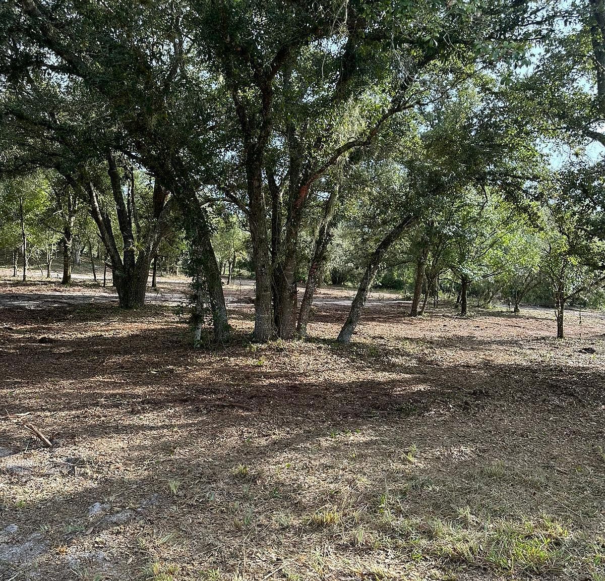 22134 NW 264th St Okeechobee, FL 34972 - Thumbnail 5