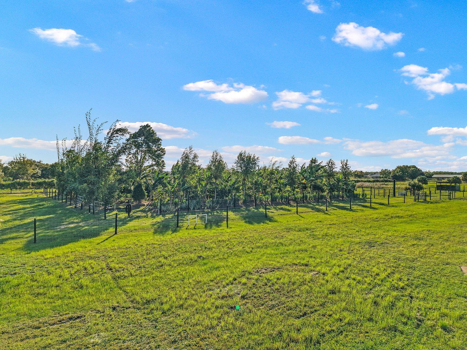 20915 Antoinette St Loxahatchee, FL 33470 - Thumbnail 5