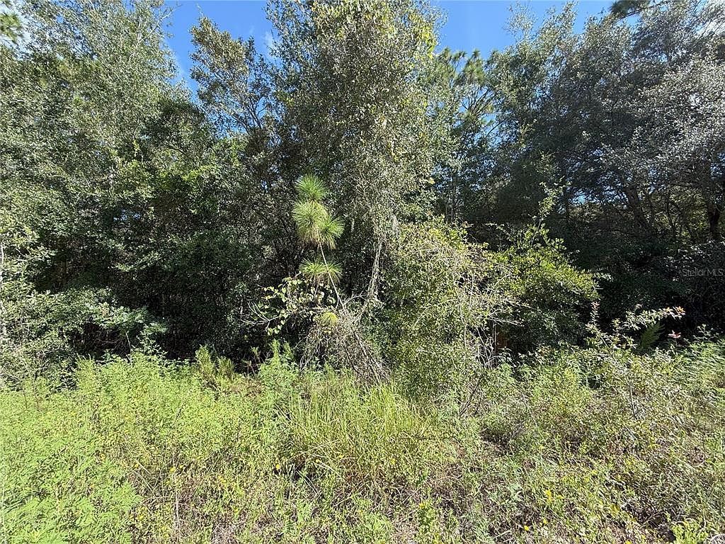 SW 40th St Lot 11 Dunnellon, FL 34432  | Land/Lot