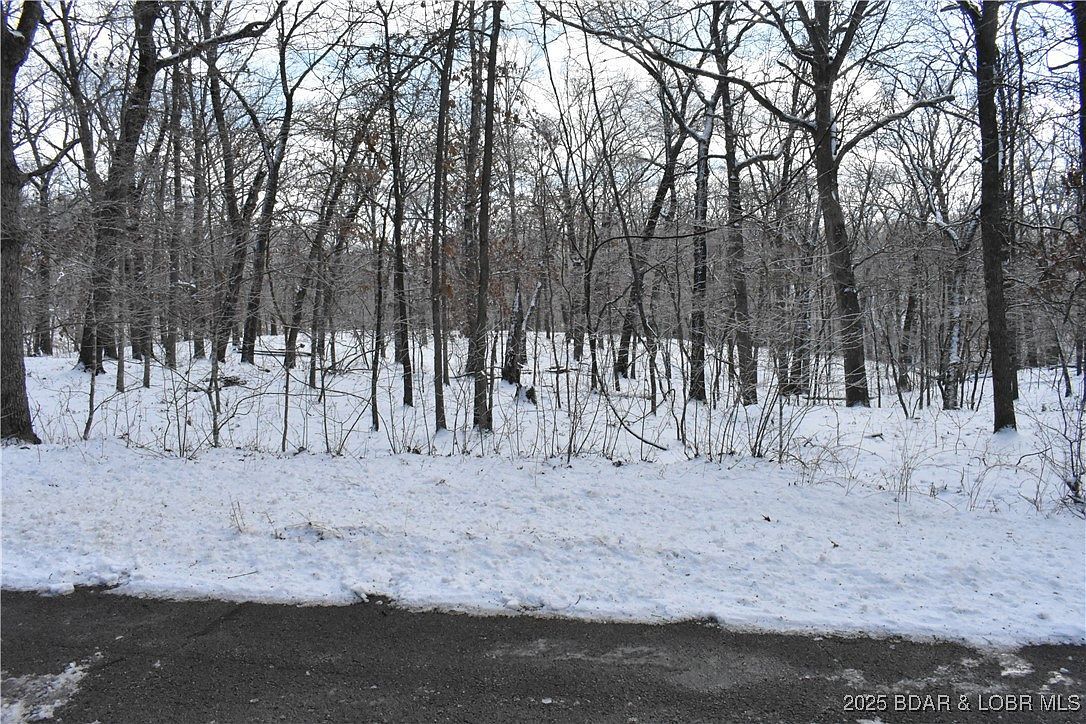 LOT 20 Oak Point Dr Gravois Mills, MO 65037 - Thumbnail 5