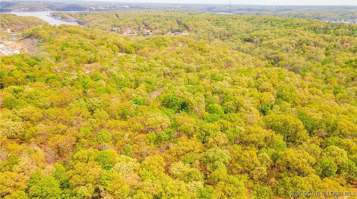 489 Chalk Hollow Point Sunrise Beach, MO 65079 - Thumbnail 5