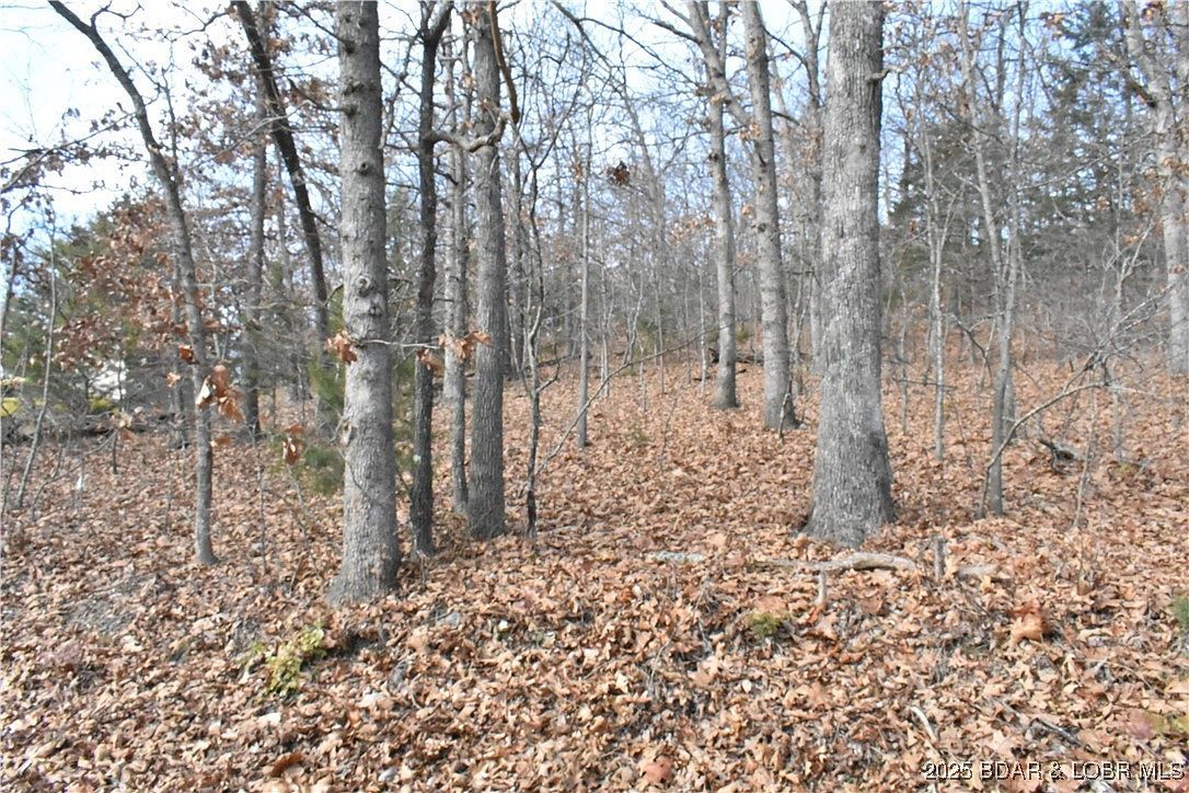 LOT 32 Forrest Hills Dr Lake Ozark, MO 65049 - Thumbnail 5