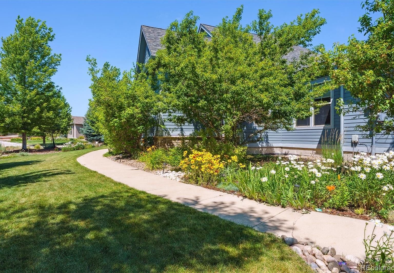 5463 Killen Ave Castle Rock, CO 80104 - Thumbnail 5