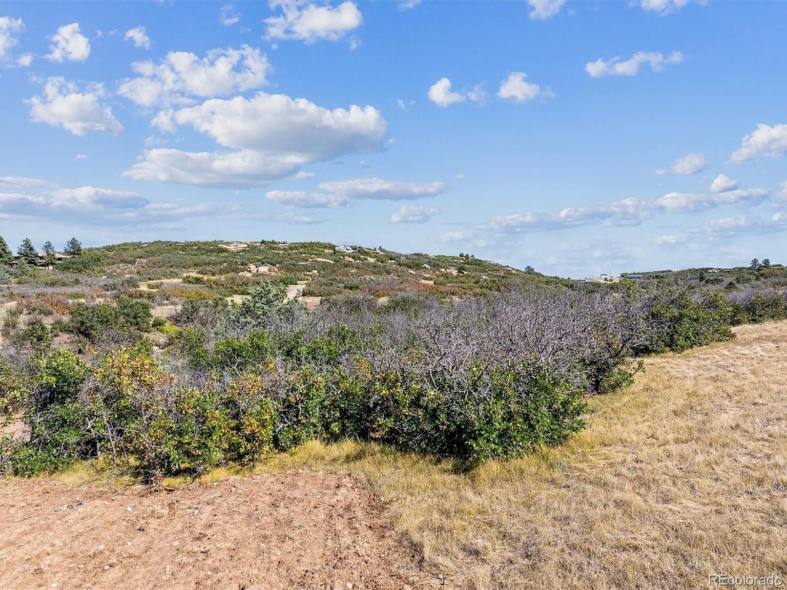 1725 N Rocky View Rd #4B Castle Rock, CO 80108 - Thumbnail 5