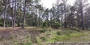 Cypress Church Rd Cameron, NC 28326 - Thumbnail 5