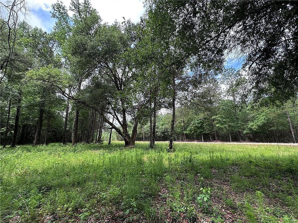 27816 Highway 435 Abita Springs, LA 70420 - Thumbnail 5